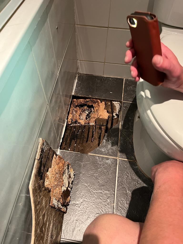 Leaking Toilet-Teddington-TW11
